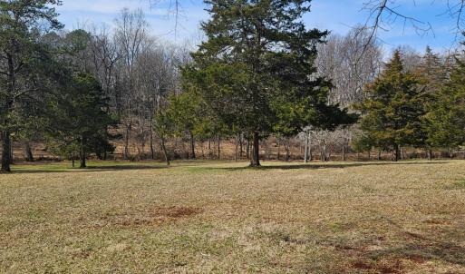 Beautiful yard