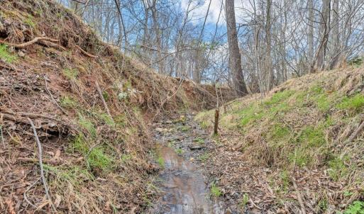 Photo #82 of 103 Glenn Haven Terrace, Goode, VA 10.9 acres