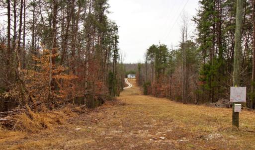Photo #3 of 1740 Watt Abbitt Road, Appomattox, VA 7.3 acres