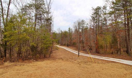 Photo #26 of 1740 Watt Abbitt Road, Appomattox, VA 7.3 acres