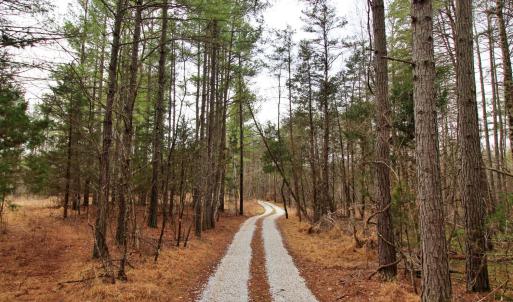 Photo #5 of 1740 Watt Abbitt Road, Appomattox, VA 7.3 acres