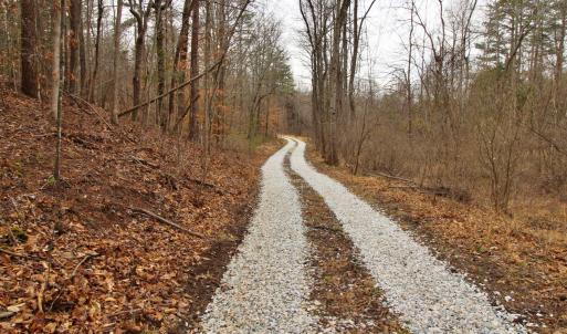 Photo #3 of 1740 Watt Abbitt Road, Appomattox, VA 7.3 acres