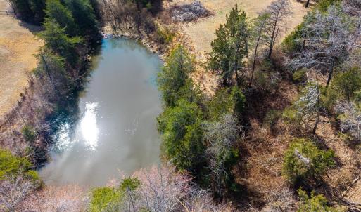 Photo #65 of 801 Purdum Mill Road, Appomattox, VA 28.3 acres