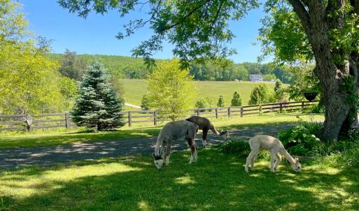 Photo #3 of 801 Purdum Mill Road, Appomattox, VA 28.3 acres