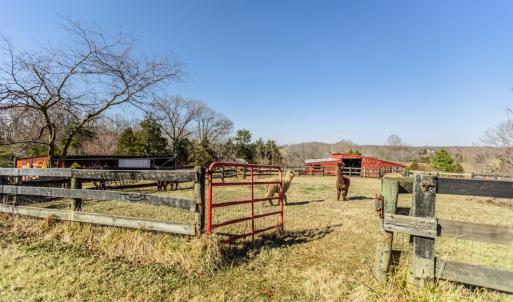 Photo #48 of 801 Purdum Mill Road, Appomattox, VA 28.3 acres