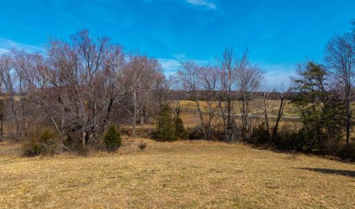 Photo #64 of 801 Purdum Mill Road, Appomattox, VA 28.3 acres