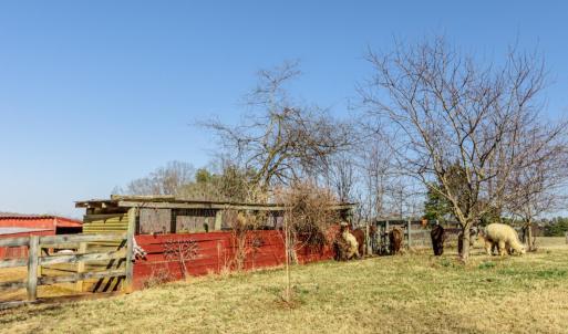 Photo #58 of 801 Purdum Mill Road, Appomattox, VA 28.3 acres