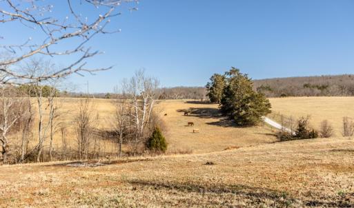 Photo #59 of 801 Purdum Mill Road, Appomattox, VA 28.3 acres