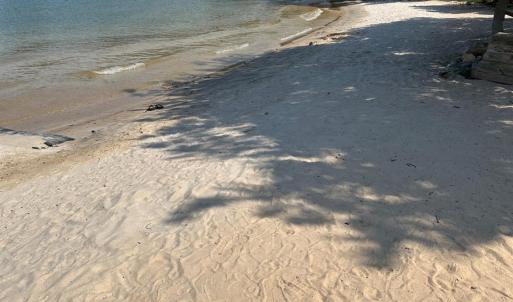 Photo #42 of 1245 Graves Harbor Trail, Huddleston, VA