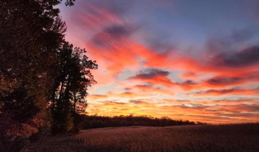 Photo #57 of 12668 Patrick Henry Hwy, Brookneal, VA 4.0 acres