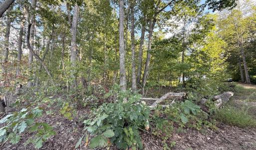 Photo #54 of 12668 Patrick Henry Hwy, Brookneal, VA 4.0 acres