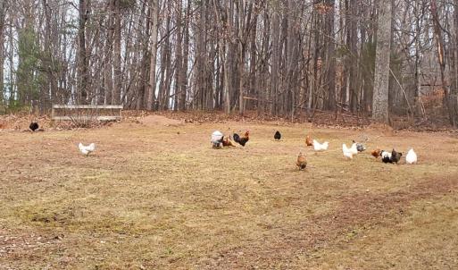 Photo #51 of 12668 Patrick Henry Hwy, Brookneal, VA 4.0 acres