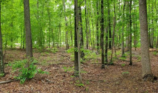 Photo #30 of 12668 Patrick Henry Hwy, Brookneal, VA 4.0 acres