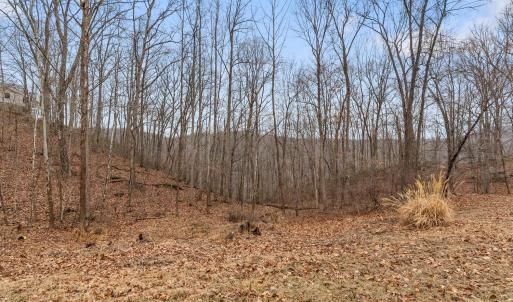 Photo #56 of 1132 James view Drive, Lynchburg, VA 3.1 acres