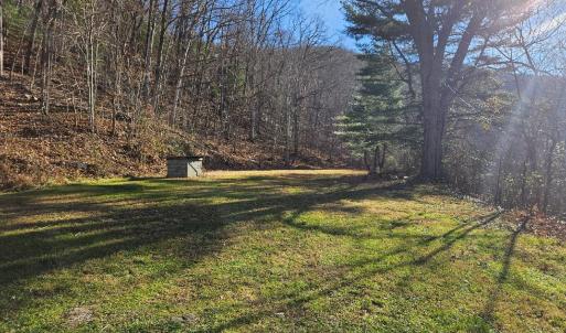 Photo #3 of 222 Cove Mountain Lane, Buchanan, VA 2.1 acres
