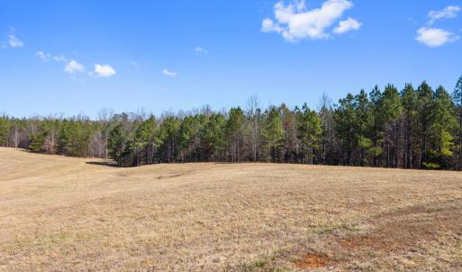 Photo #58 of 1433 Piney Mountain Road, Appomattox, VA 21.8 acres