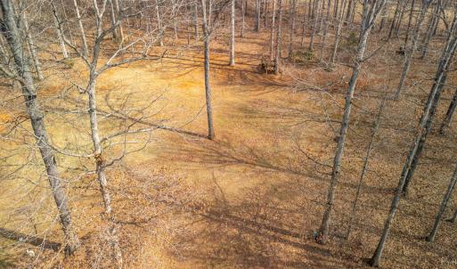 Photo #75 of 1397 Smoketree Drive, Forest, VA 2.0 acres