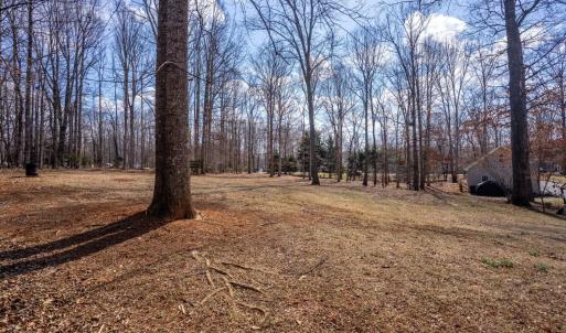 Photo #71 of 1397 Smoketree Drive, Forest, VA 2.0 acres