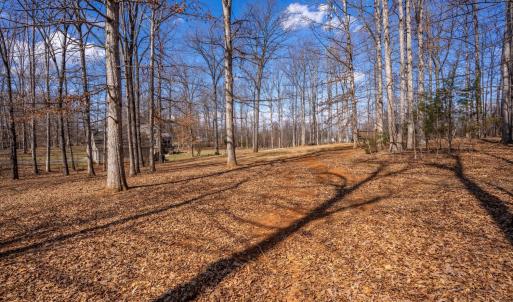 Photo #77 of 1397 Smoketree Drive, Forest, VA 2.0 acres