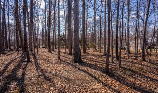 Photo #73 of 1397 Smoketree Drive, Forest, VA 2.0 acres