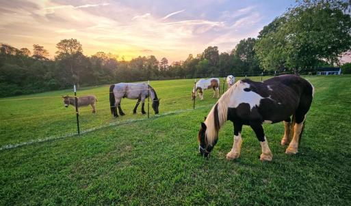 Photo #5 of 1350 Country Estates Drive, Lowry, VA 24.0 acres