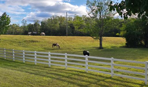 Photo #9 of 1350 Country Estates Drive, Lowry, VA 24.0 acres