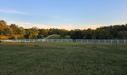 Photo #7 of 1350 Country Estates Drive, Lowry, VA 24.0 acres