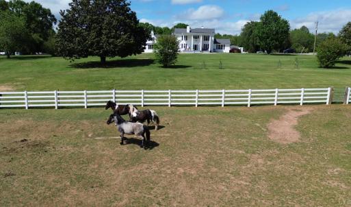 Photo #61 of 1350 Country Estates Drive, Lowry, VA 24.0 acres