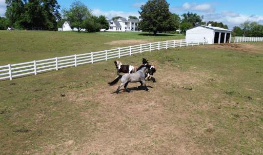 Photo #63 of 1350 Country Estates Drive, Lowry, VA 24.0 acres