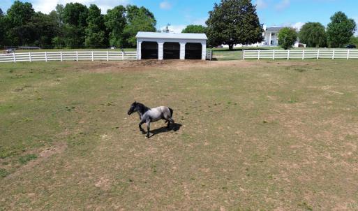 Photo #65 of 1350 Country Estates Drive, Lowry, VA 24.0 acres