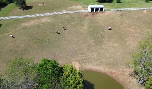 Photo #66 of 1350 Country Estates Drive, Lowry, VA 24.0 acres