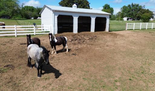 Photo #59 of 1350 Country Estates Drive, Lowry, VA 24.0 acres