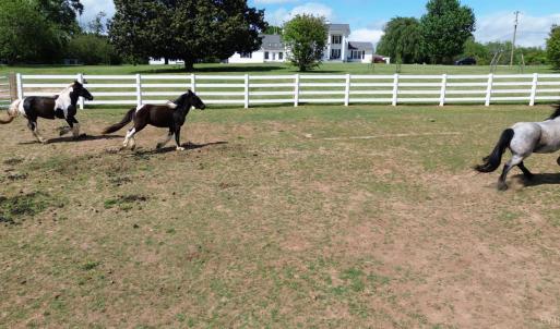 Photo #62 of 1350 Country Estates Drive, Lowry, VA 24.0 acres