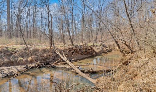 Photo #43 of 102 Ethan Court, Lynchburg, VA 0.4 acres