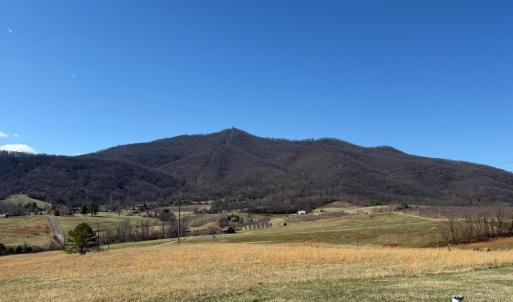 Photo #4 of 1431 High Peak Road, Monroe, VA 1.1 acres
