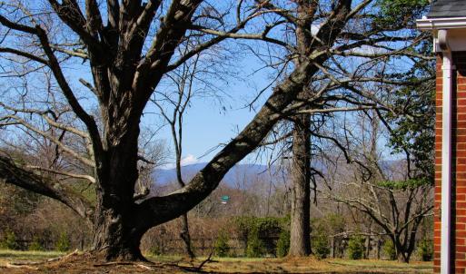 Photo #38 of 328 Huff Creek Trail, Amherst, VA 1.2 acres