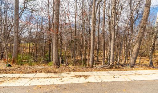 Photo #43 of 186 Robinia Road, Lynchburg, VA 0.2 acres