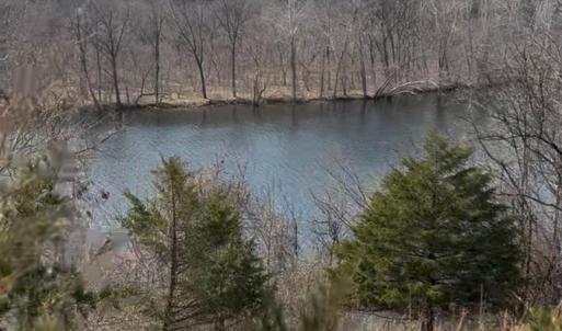 Photo #31 of 426 Burgess Road, Madison Heights, VA 43.7 acres