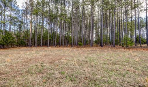 Photo #15 of 2518 Reedy Spring Road, Spout Spring, VA 2.0 acres