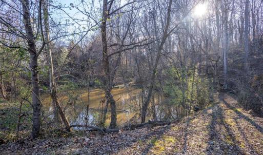 Photo #21 of 2205 Concord Turnpike, Lynchburg, VA 16.3 acres