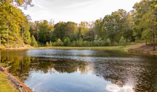 Photo #48 of 224 Walnut Road, Danville, VA 45.5 acres