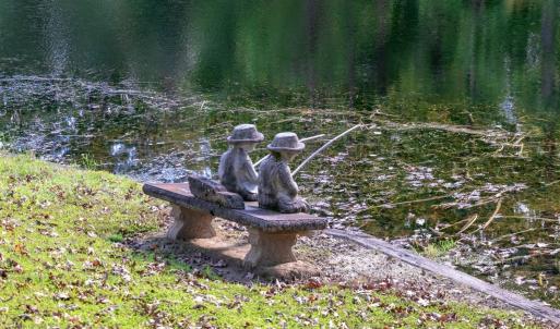 Photo #49 of 224 Walnut Road, Danville, VA 45.5 acres