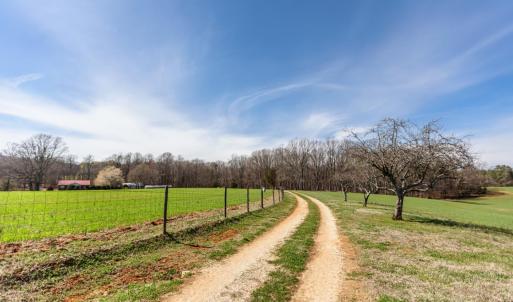 Photo #44 of 1783 Prince Edward Highway, Pamplin, VA 96.6 acres