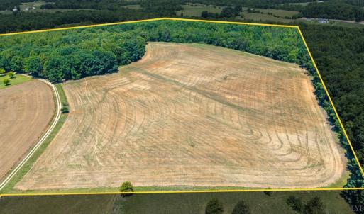 Photo #89 of 1783 Prince Edward Highway, Pamplin, VA 96.6 acres
