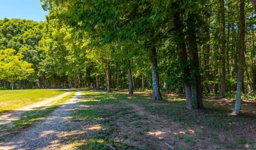 Photo #53 of 1783 Prince Edward Highway, Pamplin, VA 96.6 acres