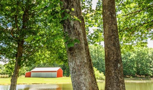 Photo #67 of 1783 Prince Edward Highway, Pamplin, VA 96.6 acres