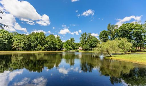 Photo #69 of 1783 Prince Edward Highway, Pamplin, VA 96.6 acres