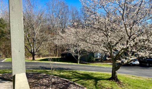 Photo #85 of 154 Sunset Ridge Road, Forest, VA 0.1 acres