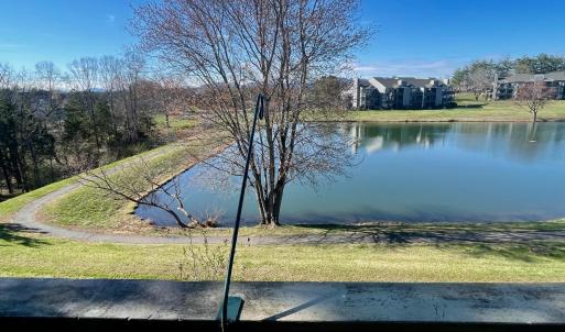 Photo #48 of 154 Sunset Ridge Road, Forest, VA 0.1 acres