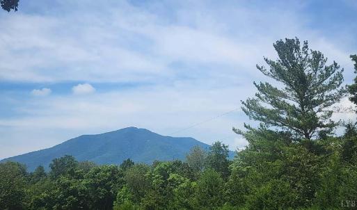 Photo #2 of 209 Leatherwood Place, Bedford, VA 1.9 acres